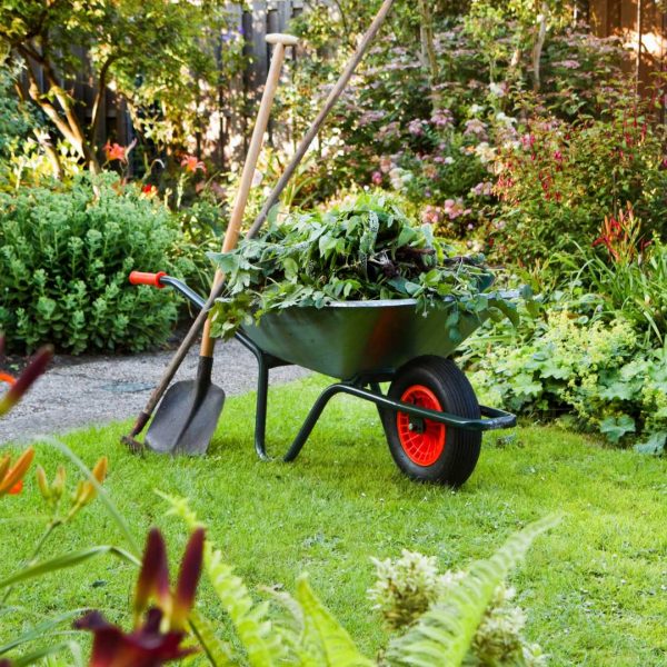 jardin